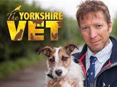 The Yorkshire Vet